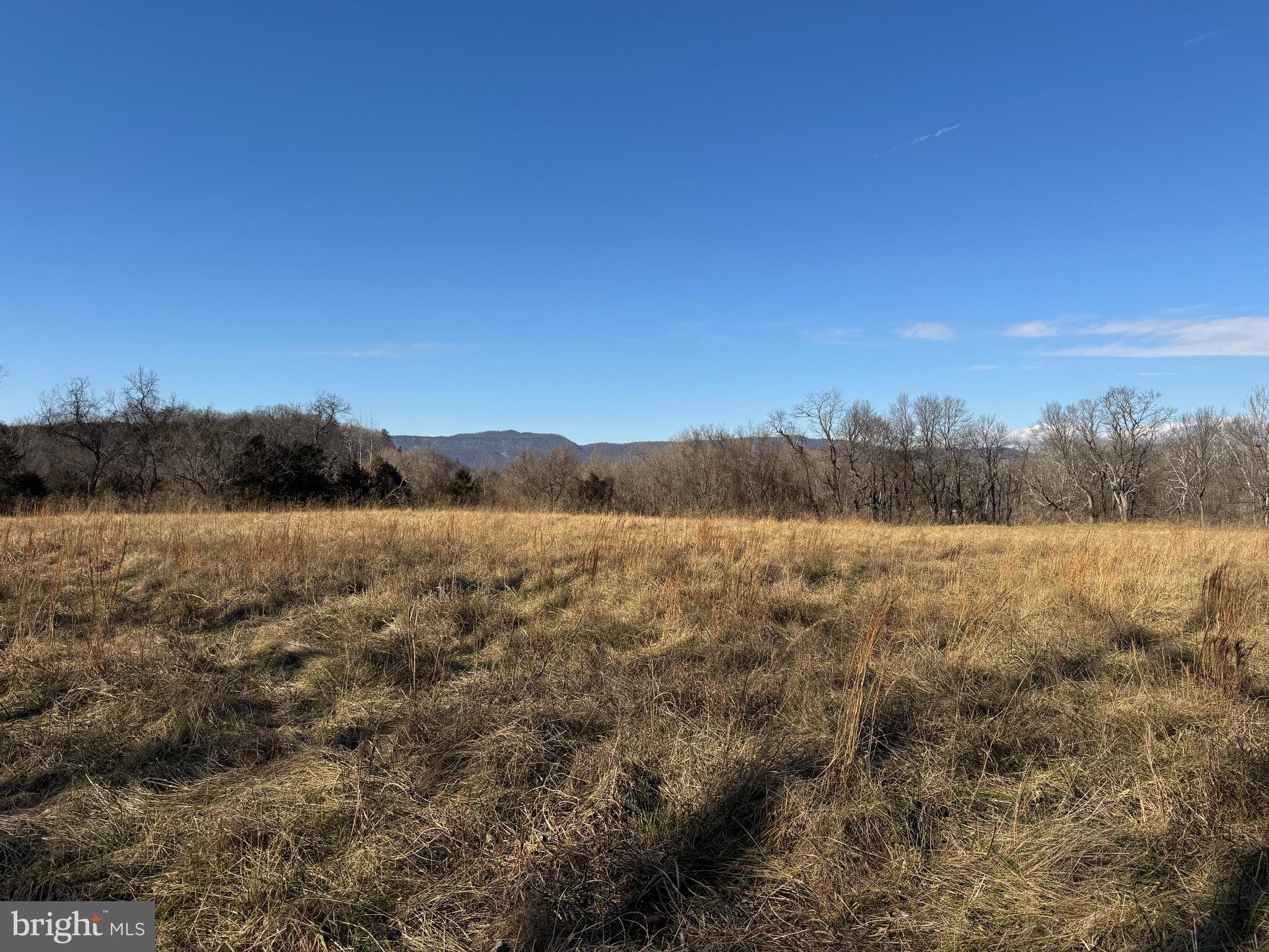 326 Thunderbird Road Front Royal, VA 22630 - Photo 15 of 44 a view of lake and mountain