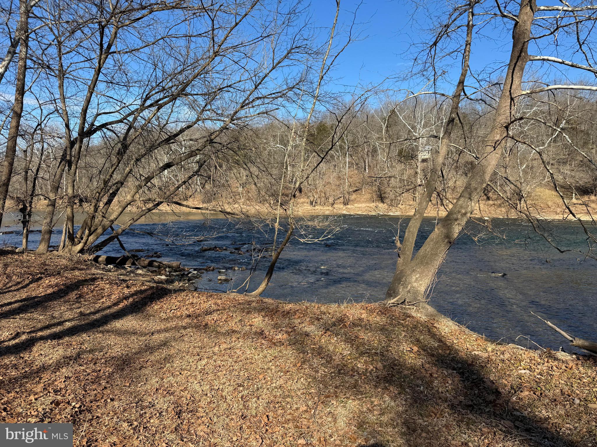 326 Thunderbird Road Front Royal, VA 22630 - Photo 18 of 44 a view of yard covered with snow