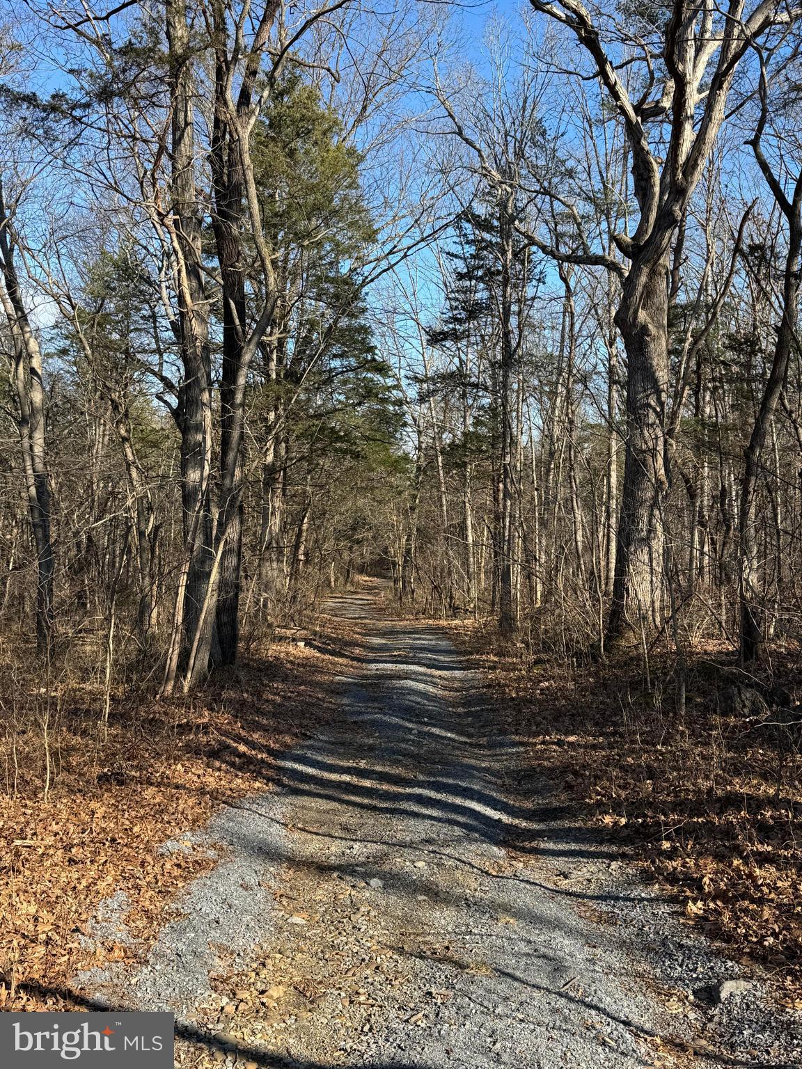 326 Thunderbird Road Front Royal, VA 22630 - Photo 19 of 44 a view of a yard