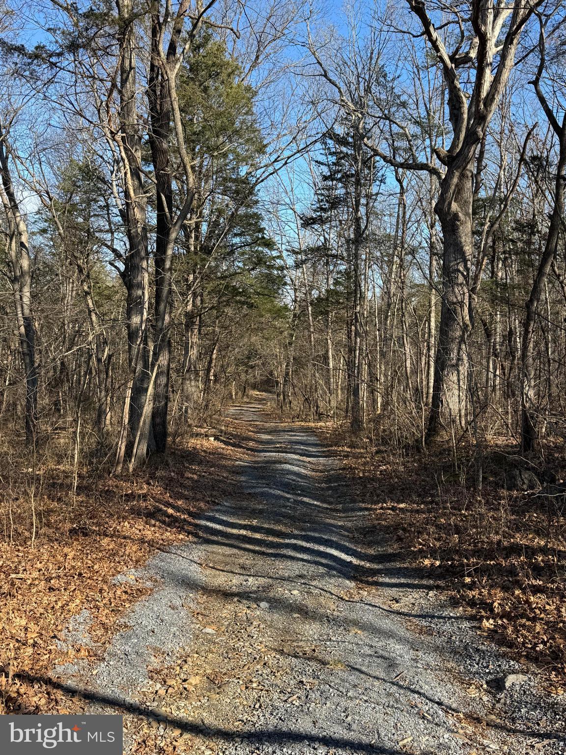 326 Thunderbird Road Front Royal, VA 22630 - Photo 20 of 44 a view of a yard