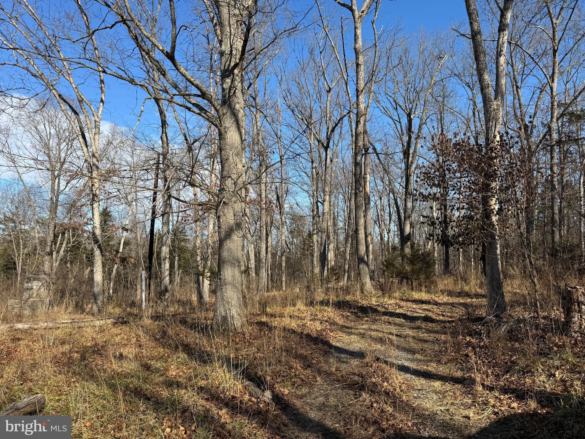 326 Thunderbird Road Front Royal, VA 22630 - Photo 24 of 44 a view of backyard space