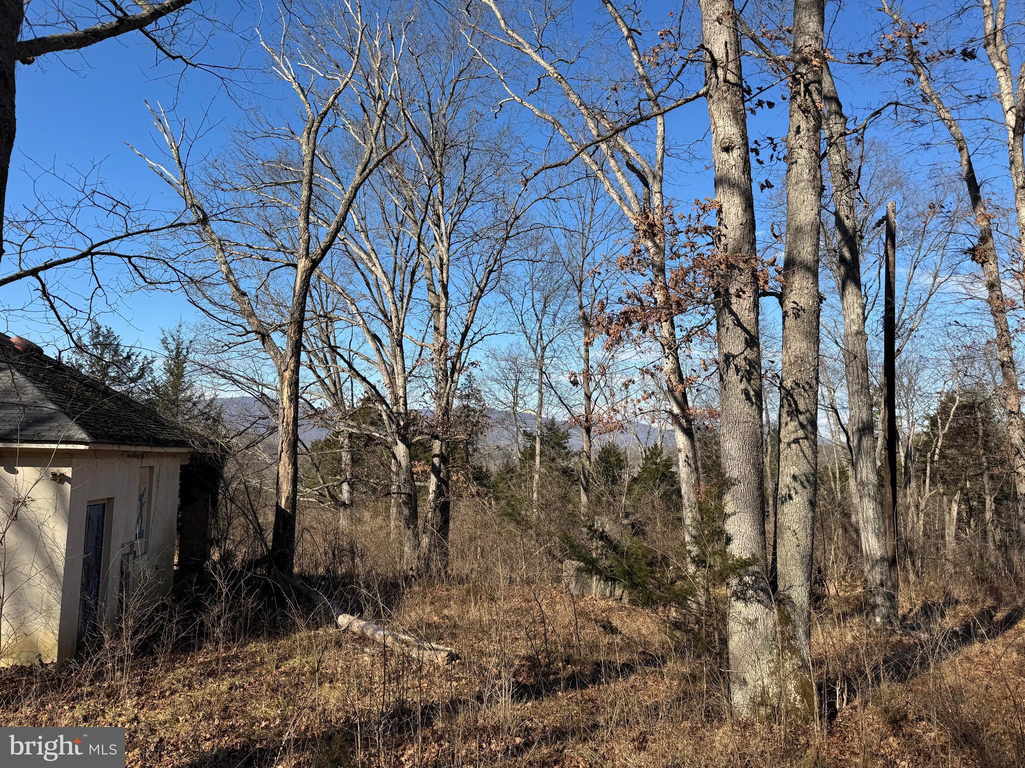 326 Thunderbird Road Front Royal, VA 22630 - Photo 25 of 44 a view of backyard of house