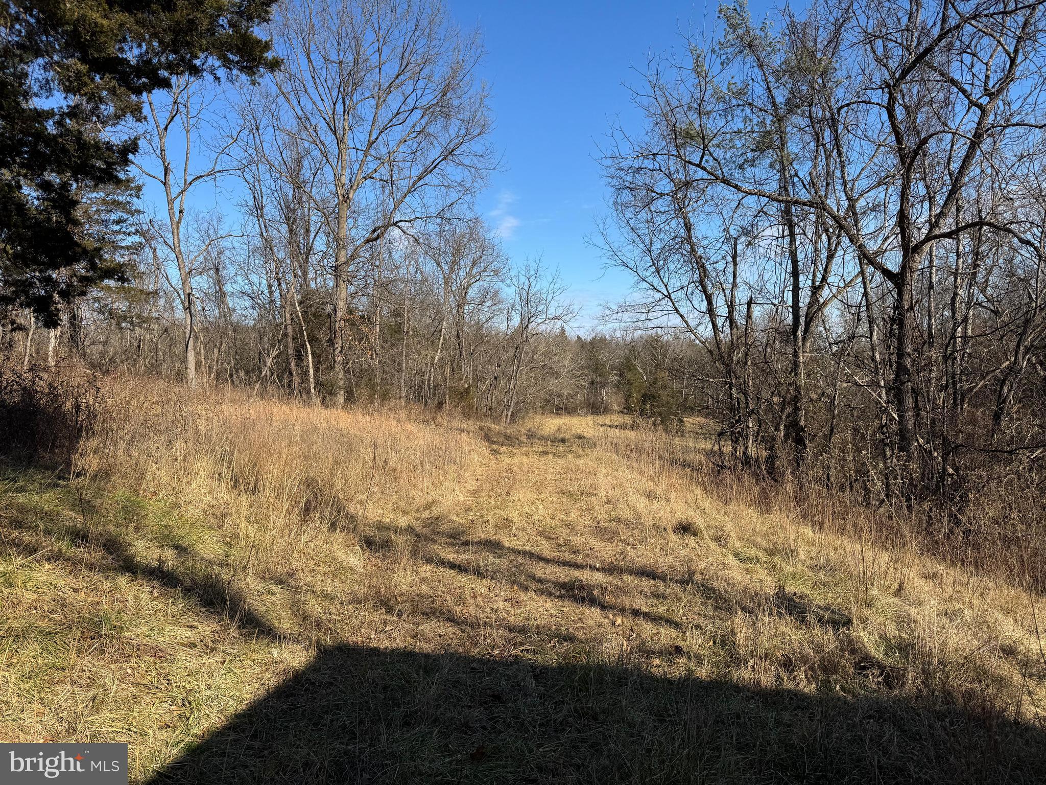 326 Thunderbird Road Front Royal, VA 22630 - Photo 28 of 44 a view of snow covered with yard