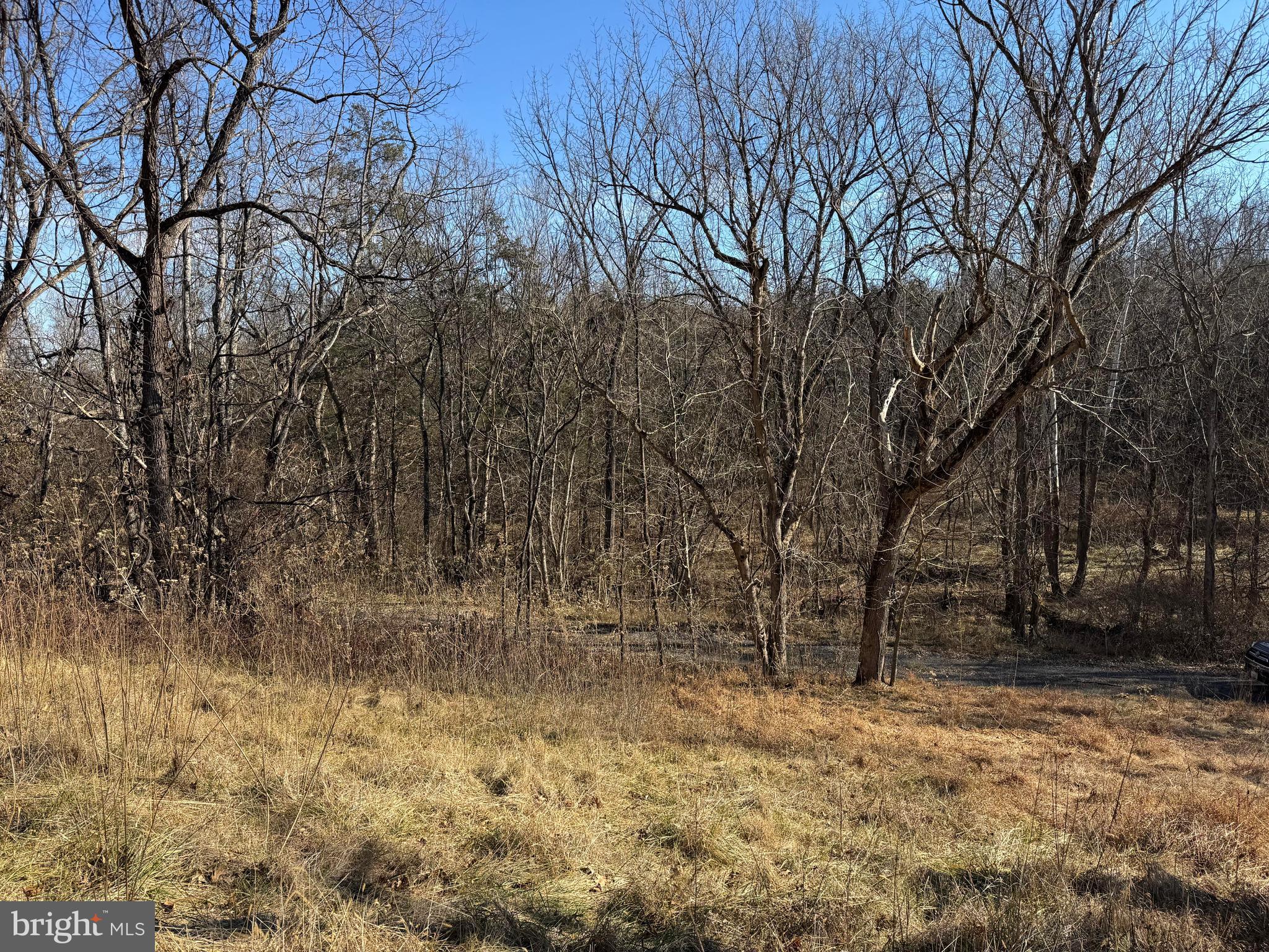 326 Thunderbird Road Front Royal, VA 22630 - Photo 29 of 44 a view of empty yard