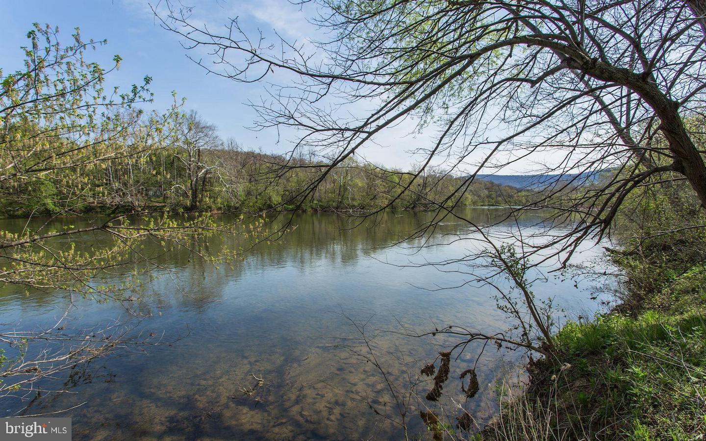 326 Thunderbird Road Front Royal, VA 22630 - Photo 33 of 44 a view of a lake with a tree