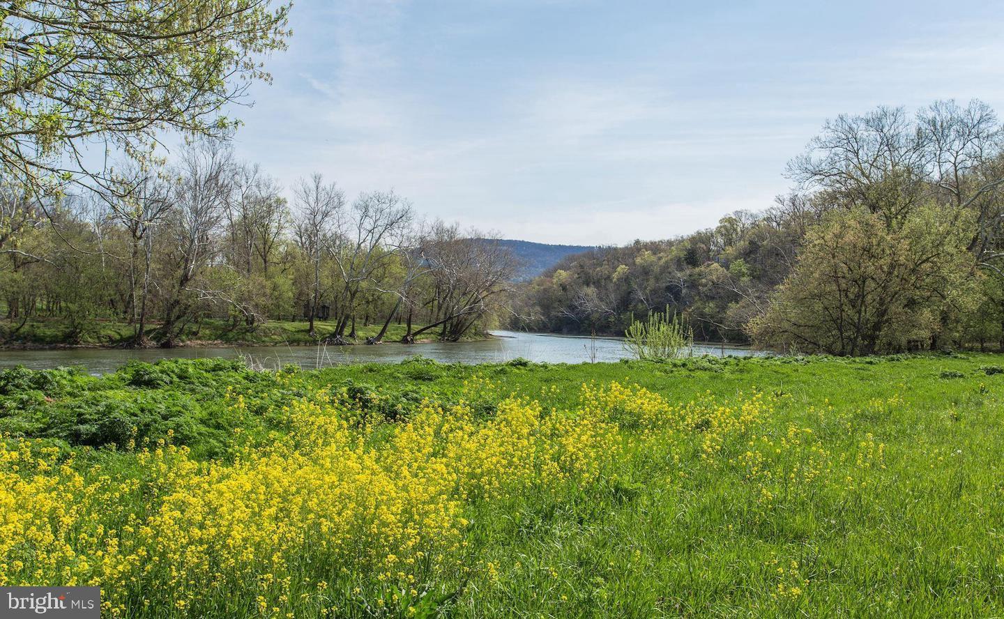 326 Thunderbird Road Front Royal, VA 22630 - Photo 35 of 44 a view of an outdoor space and a yard