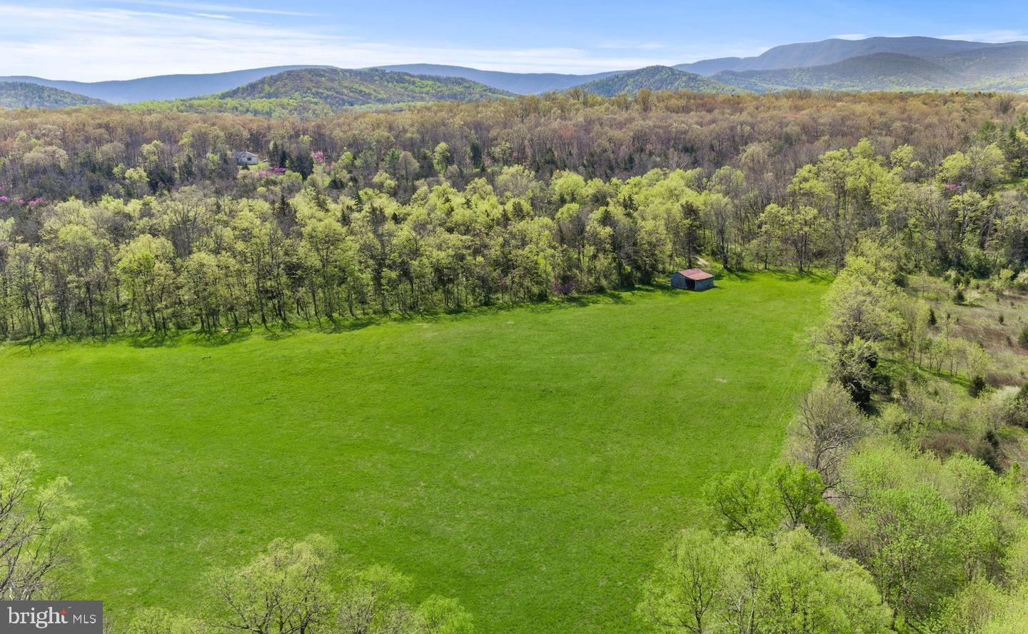 326 Thunderbird Road Front Royal, VA 22630 - Photo 38 of 44 a view of a lush green hillside and houses