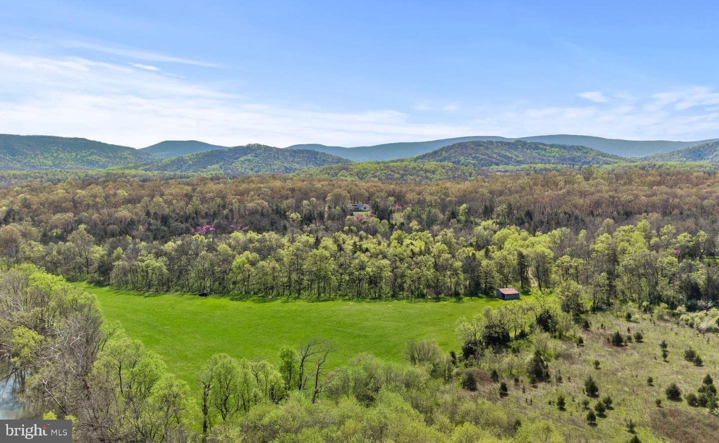 326 Thunderbird Road Front Royal, VA 22630 - Photo 40 of 44 a view of a lush green outdoor space with a lake view