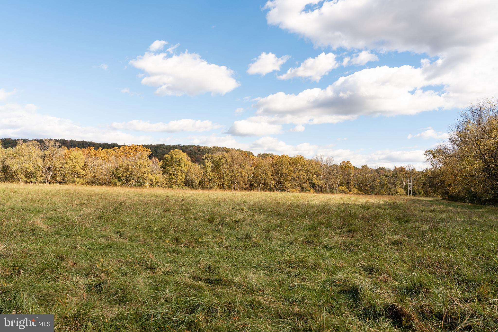 326 Thunderbird Road Front Royal, VA 22630 - Photo 4 of 44 a view of an ocean