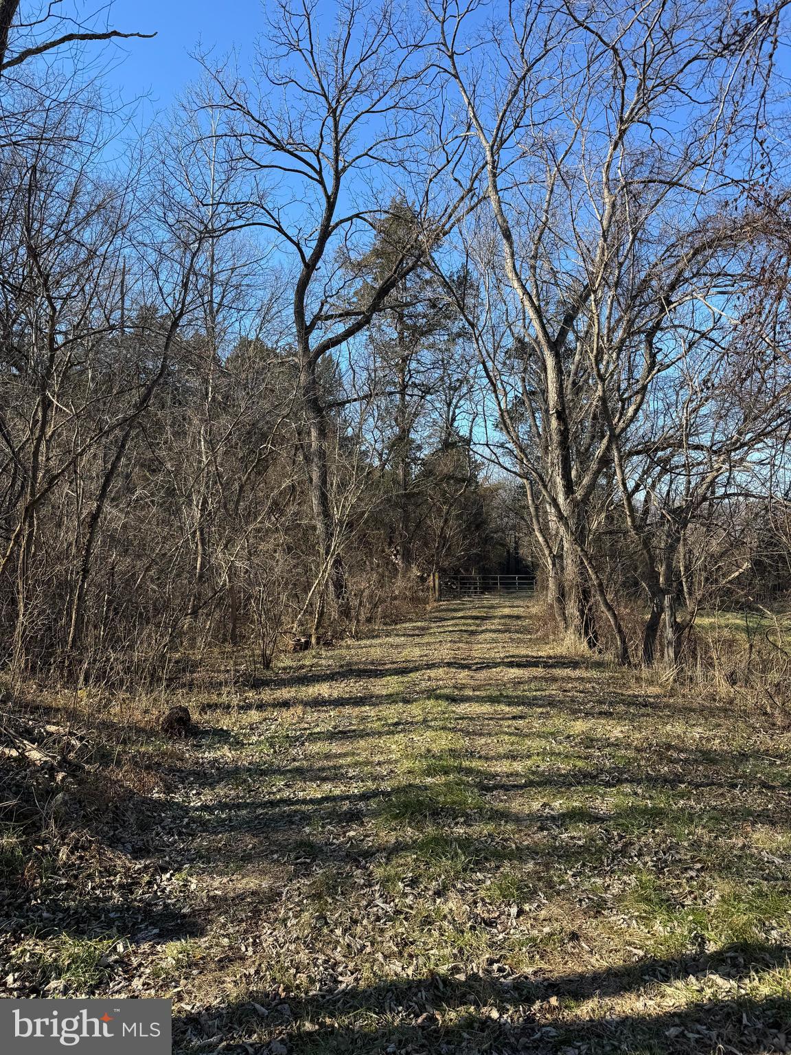 326 Thunderbird Road Front Royal, VA 22630 - Photo 6 of 44 a view of a yard next to a building