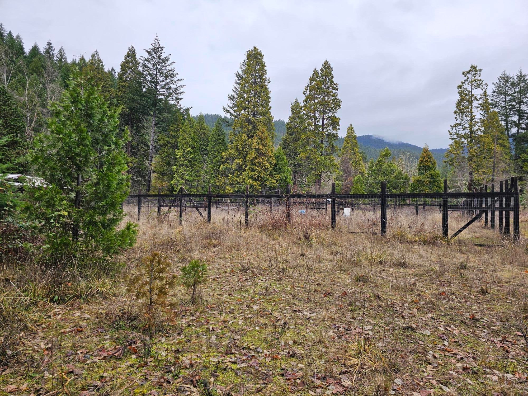 8565 Deer Creek Road Selma, OR 97538 - Photo 4 of 9 20241228_120824