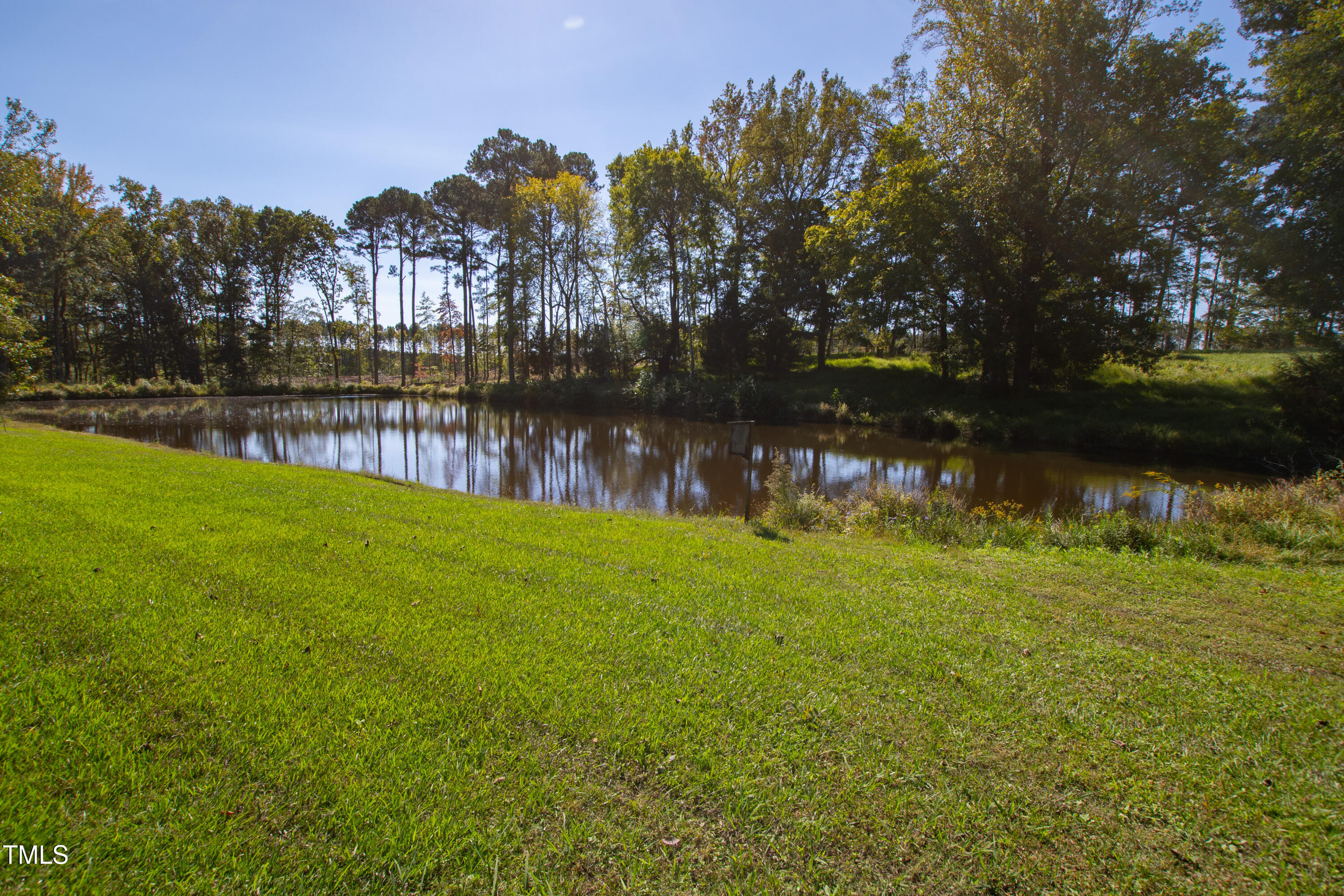 3700 Lark Farm Road Franklinton, NC 27525 - Photo 75 of 87 side pond