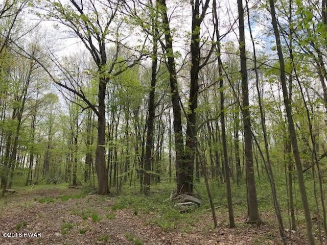 143 White Birch Road Moscow, PA 18444 - Photo 8 of 11