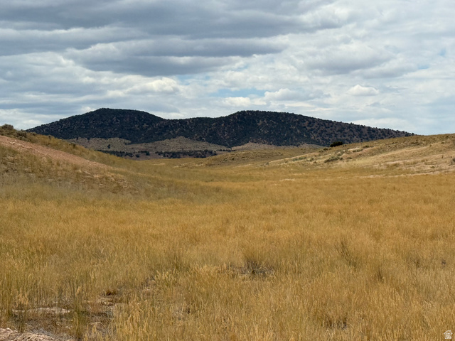 14 Old Dam Road, Unit 14 Levan, UT 84639 - Photo 10 of 10