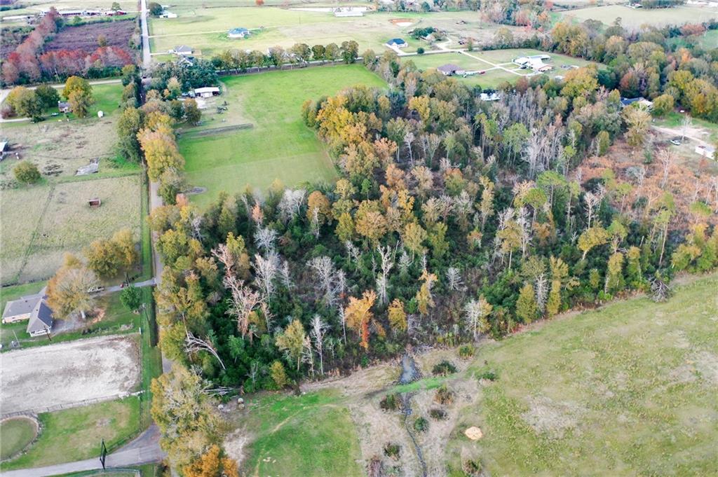 2 C Simmons Road Loranger, LA 70446 - Photo 4 of 11