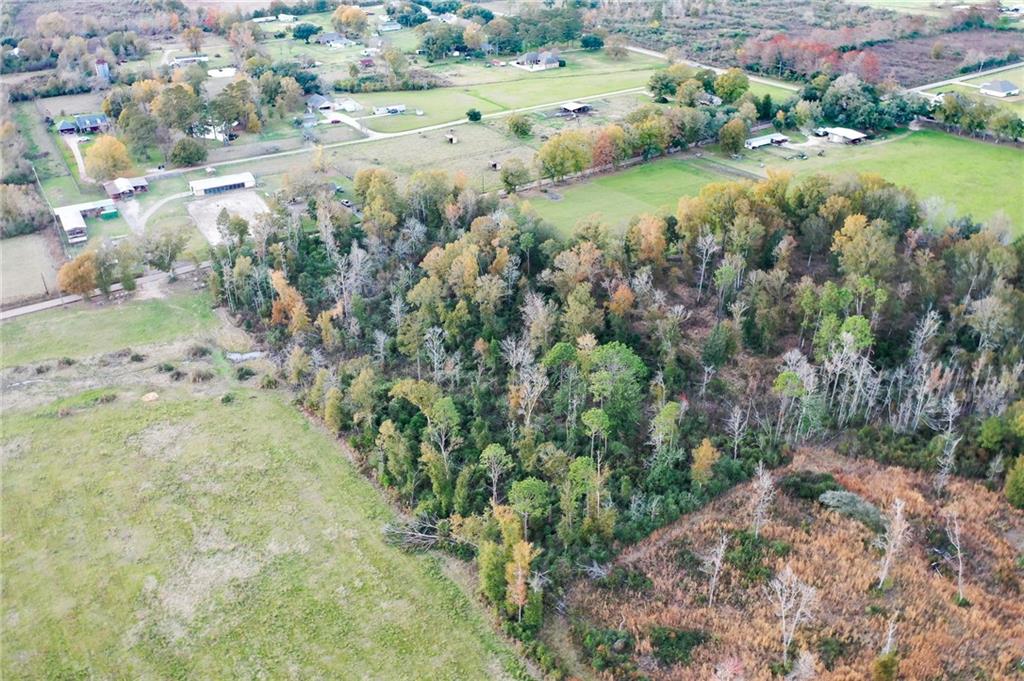 2 C Simmons Road Loranger, LA 70446 - Photo 5 of 11