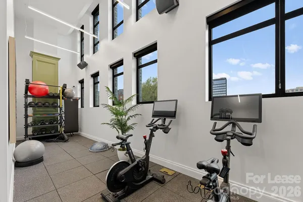 $2,875 | 2025 Cleveland Avenue, Unit IVY, Charlotte, NC 28203