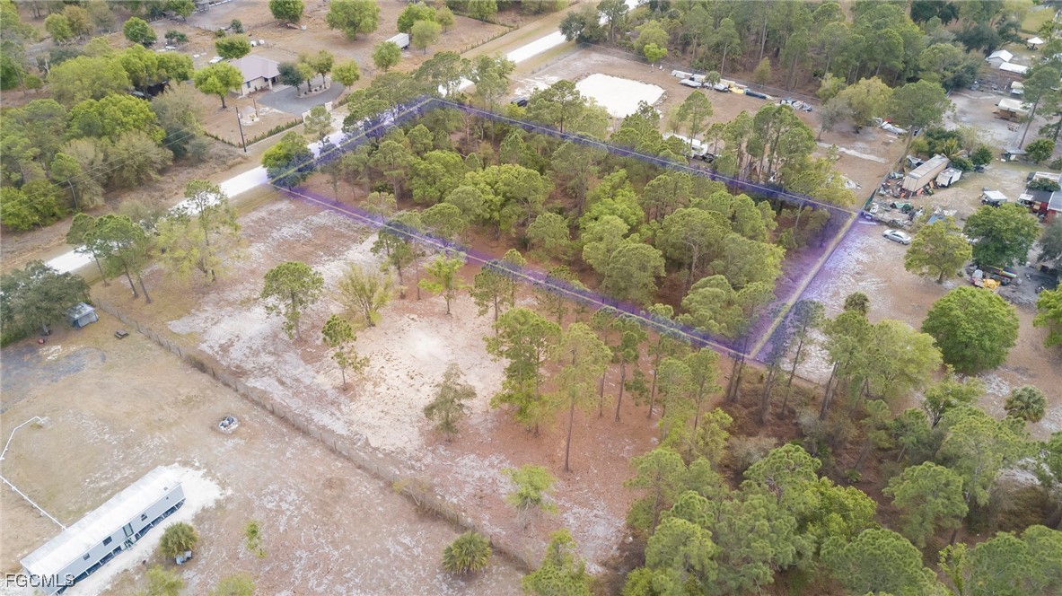 340 North Kennel Street Montura Ranches, FL 33440 - Photo 4 of 9 a picture of tree