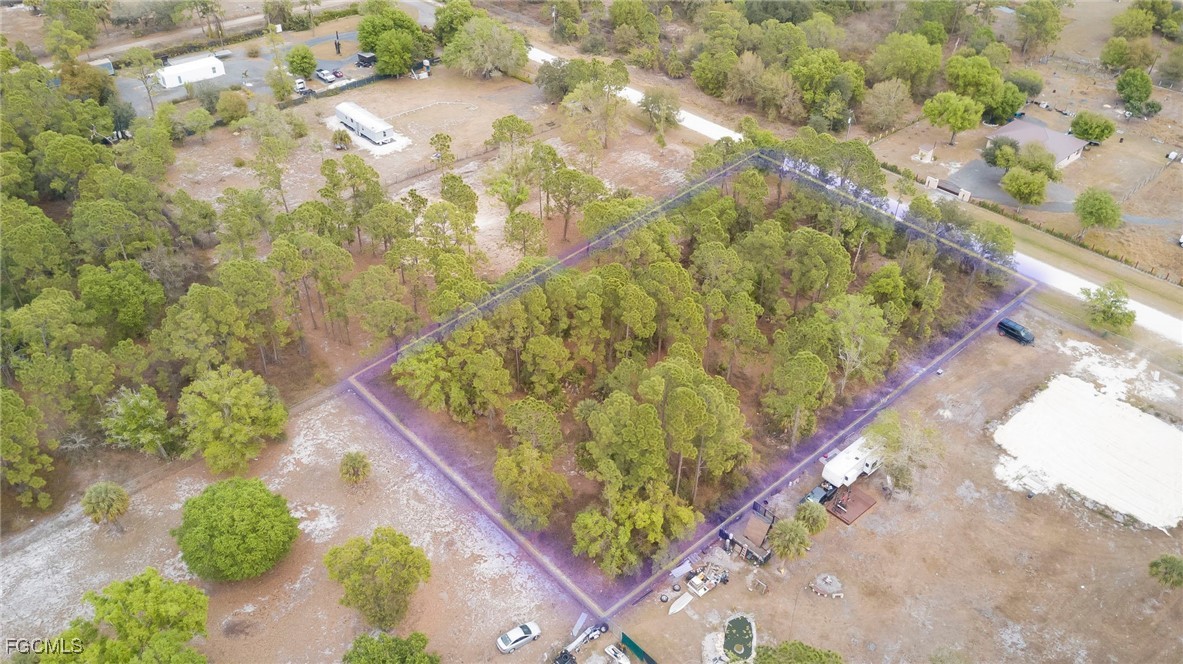 340 North Kennel Street Montura Ranches, FL 33440 - Photo 6 of 9 a view of a yard