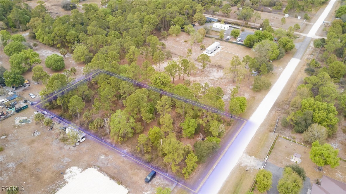 340 North Kennel Street Montura Ranches, FL 33440 - Photo 8 of 9 a view of a yard