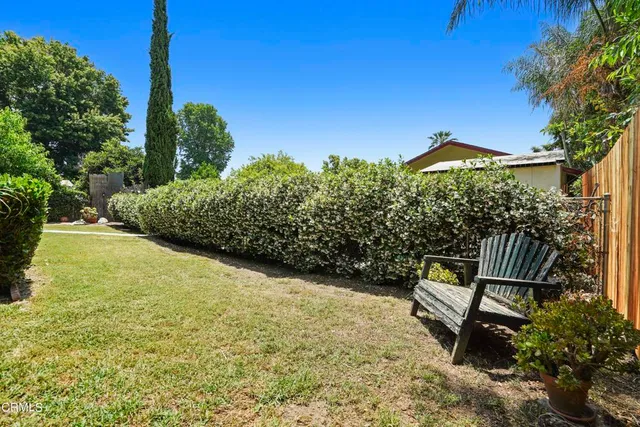 a view of a bench in the garden