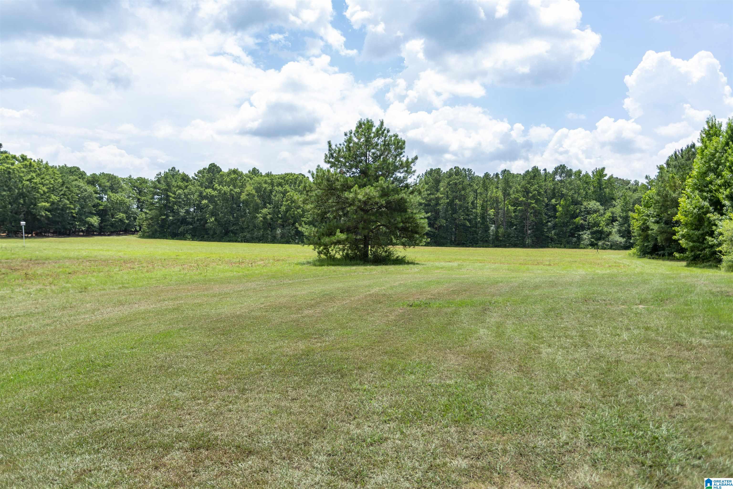 1675 Blue Eye Springs Road Lincoln, AL 35096 - Photo 40 of 60