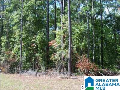 1292 County Road, Unit 1 45 Wedowee, AL 36278 - Photo 6 of 8