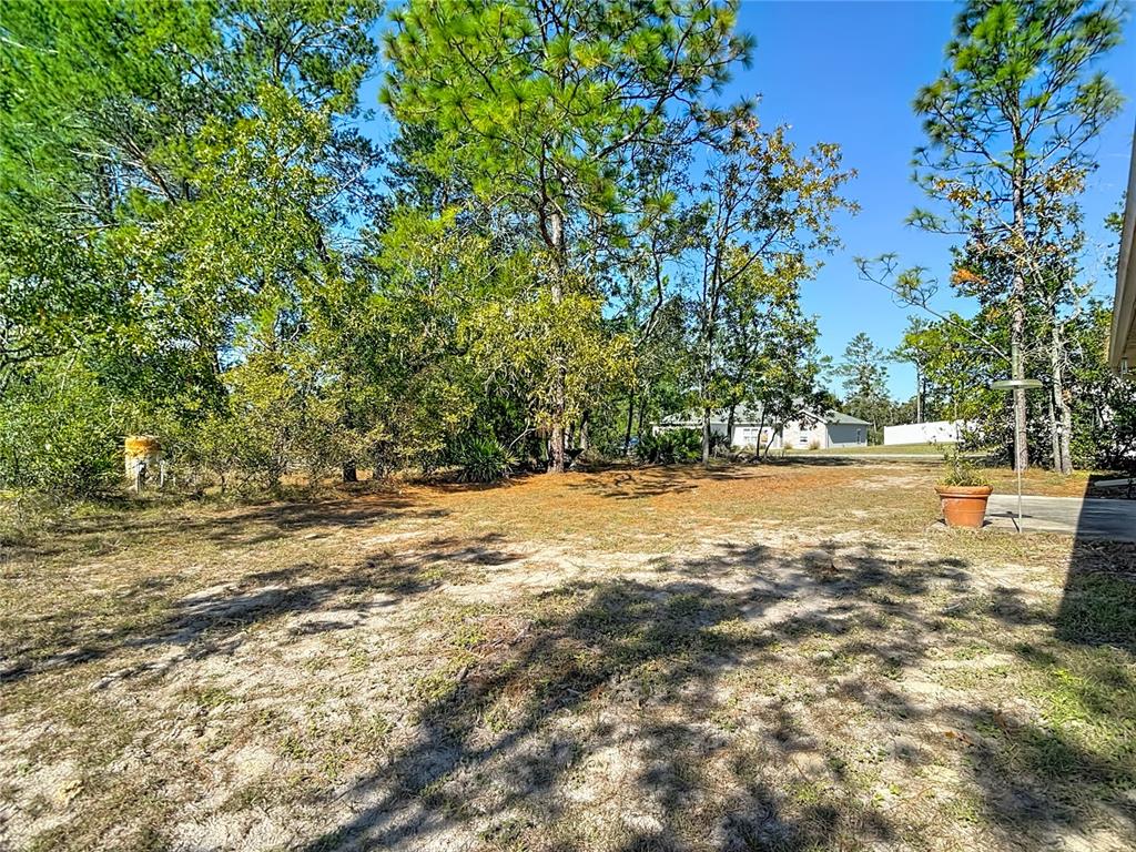 11187 Campfield Road Weeki Wachee, FL 34614 - Photo 51 of 57