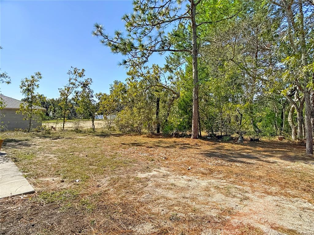 11187 Campfield Road Weeki Wachee, FL 34614 - Photo 54 of 57