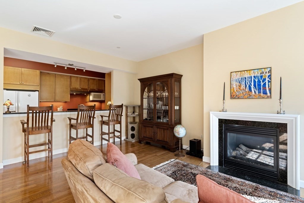 195 High Street, Unit 302 Brookline, MA 02445 - Photo 3 of 11