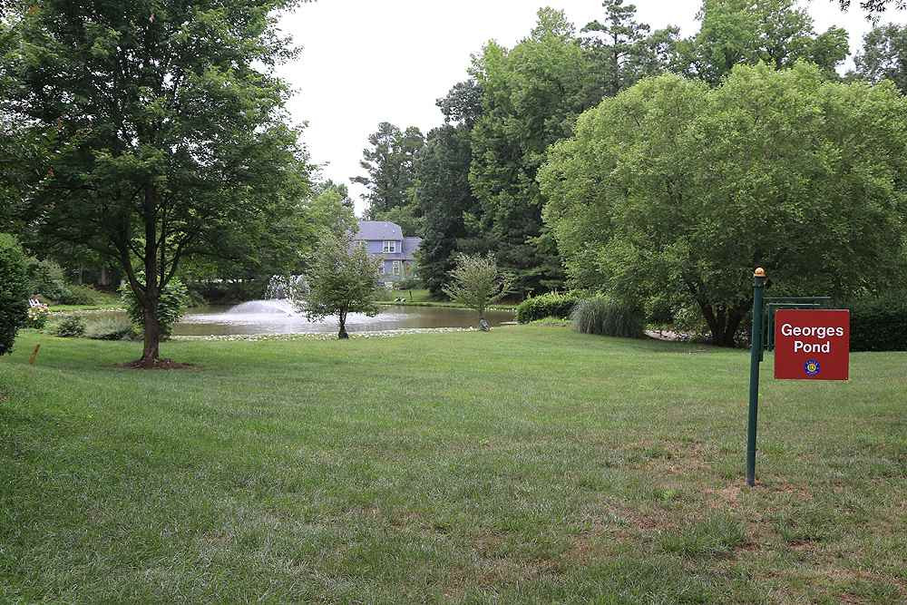 10400 Shadowlawn Drive Raleigh, NC 27614 - Photo 22 of 29 George's pond is such a beautiful water feature for this community. You have a view right up close Pond
