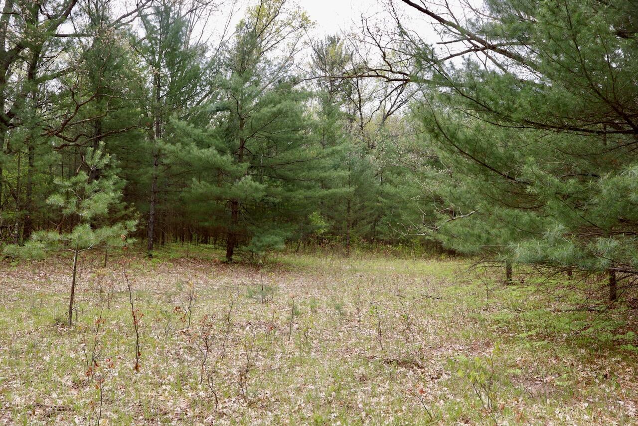 6153 South Branch Road Branch, MI 49402 - Photo 18 of 70 17