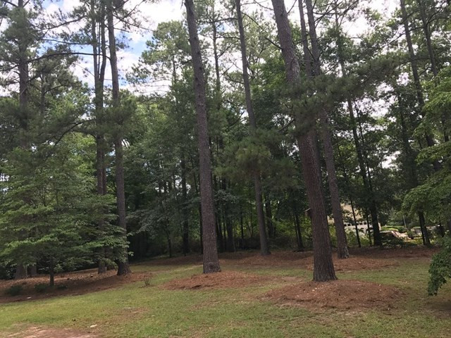 567 West Five Notch Road North Augusta, SC 29860 - Photo 26 of 27 Gallery Image 26
