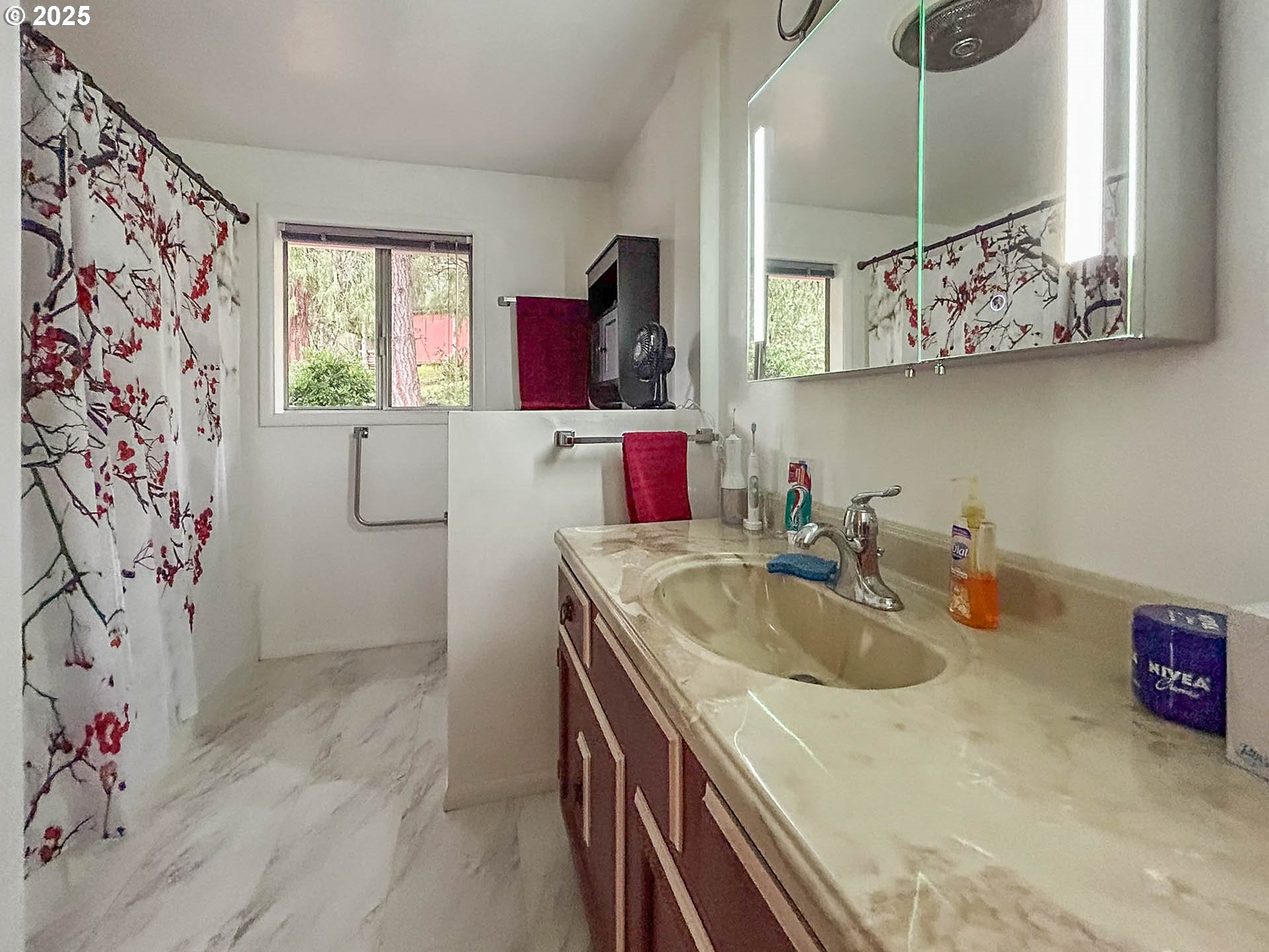 1260 Canyonville-Riddle Road Riddle, OR 97469 - Photo 20 of 44 a bathroom with a sink a vanity and a mirror