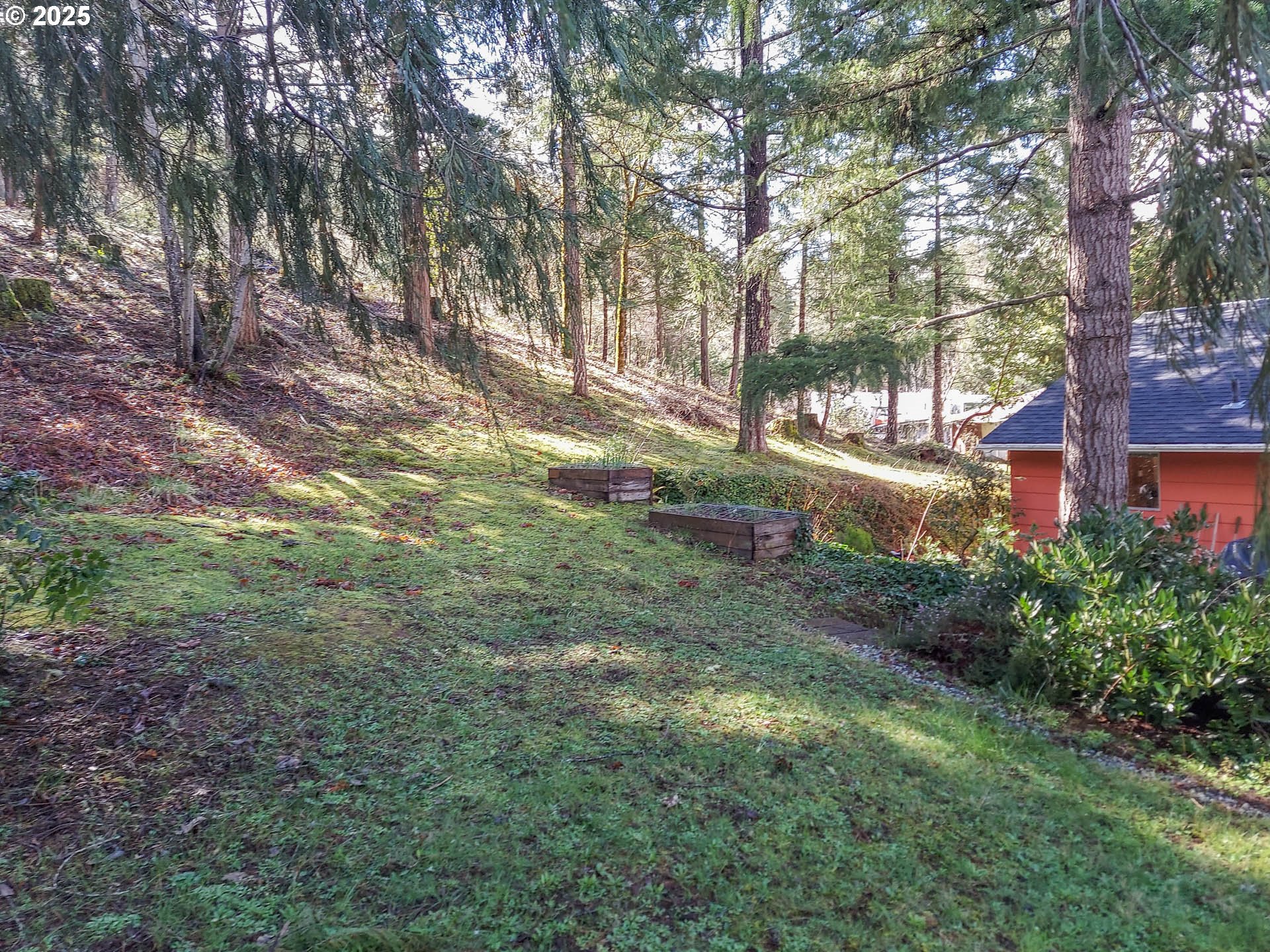 1260 Canyonville-Riddle Road Riddle, OR 97469 - Photo 37 of 44 a view of backyard with green space