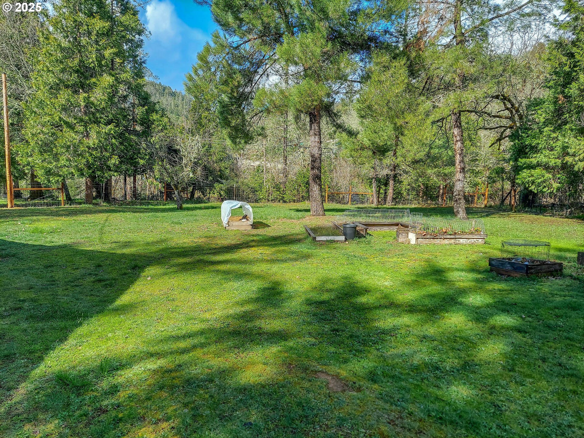 1260 Canyonville-Riddle Road Riddle, OR 97469 - Photo 40 of 44 a view of a park with large trees