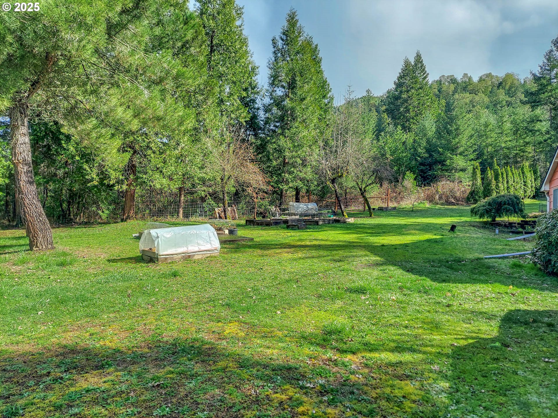 1260 Canyonville-Riddle Road Riddle, OR 97469 - Photo 42 of 44 a view of a park with trees