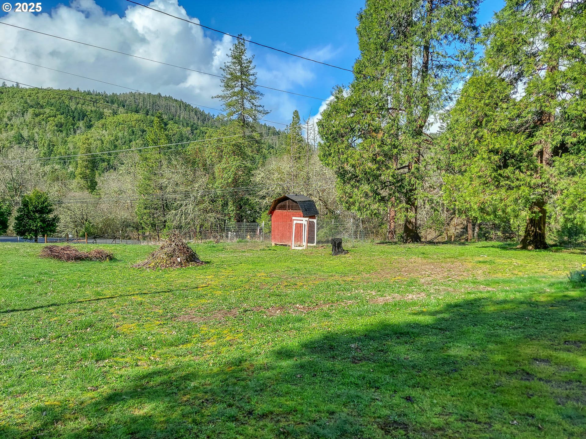 1260 Canyonville-Riddle Road Riddle, OR 97469 - Photo 44 of 44 a green field with lots of trees