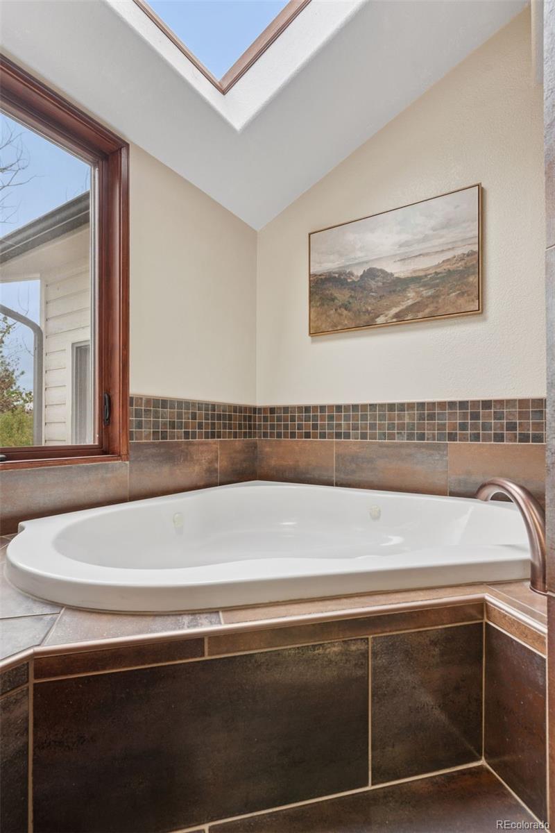 7501 Stroh Road Parker, CO 80134 - Photo 24 of 49 a close view of sink sitting in a bathroom