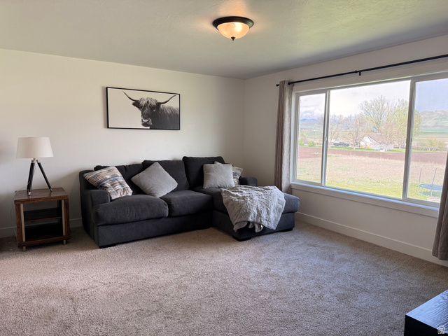 3607 South Parkinson Road South Franklin, ID 83237 - Photo 15 of 24 Carpeted living room featuring baseboards