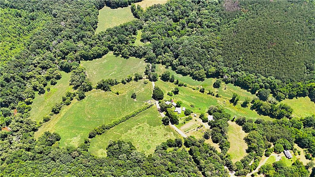 a view of a garden