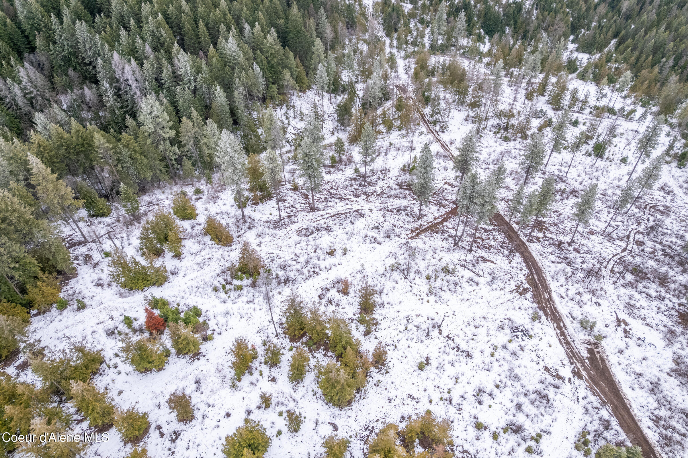 Nna North Whittum Road Priest River, ID 83856 - Photo 14 of 21 014-nkanextto1807NorthWhittumRoad-Priest