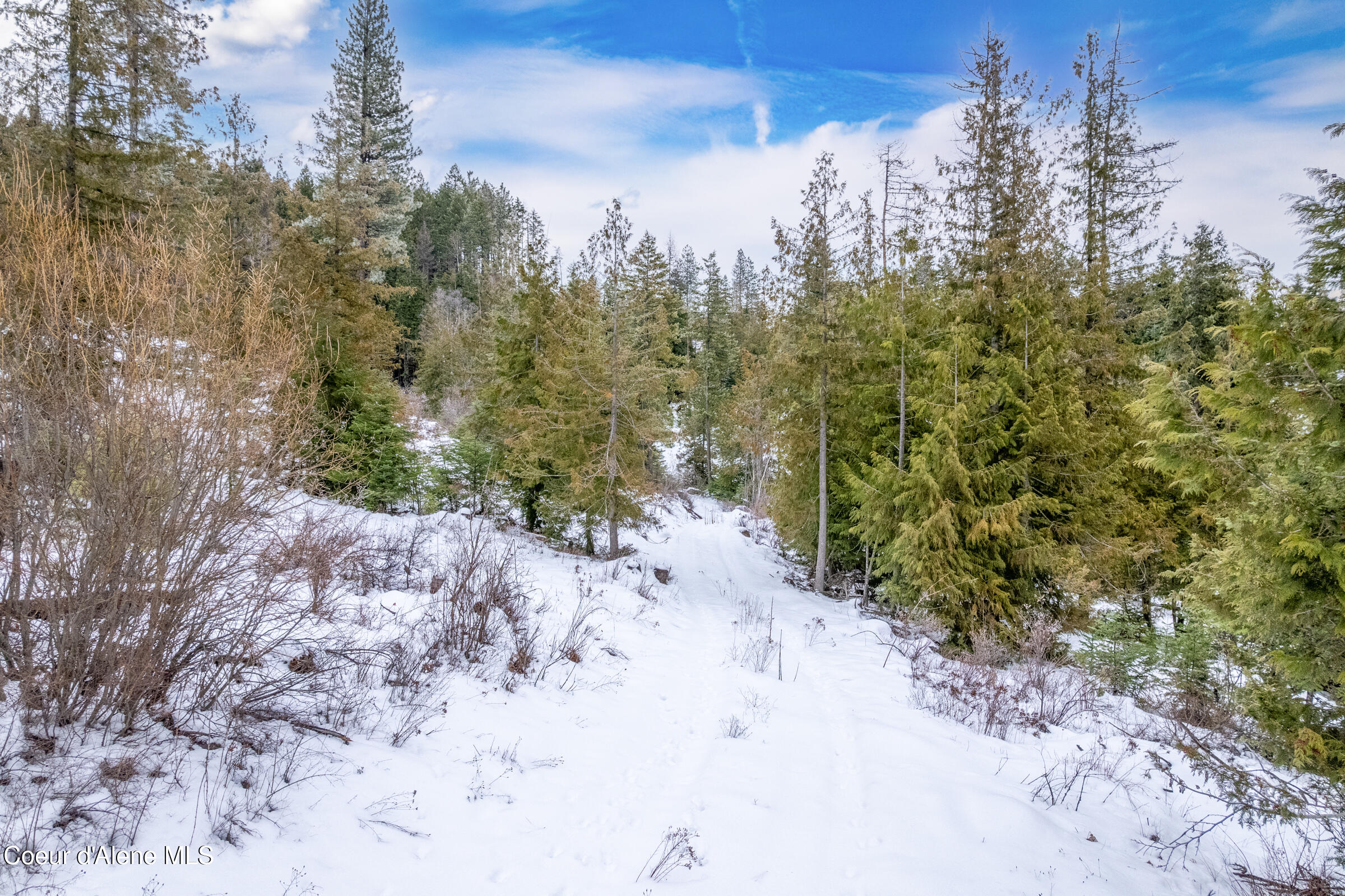 Nna North Whittum Road Priest River, ID 83856 - Photo 8 of 21 007-nkanextto1807NorthWhittumRoad-Priest