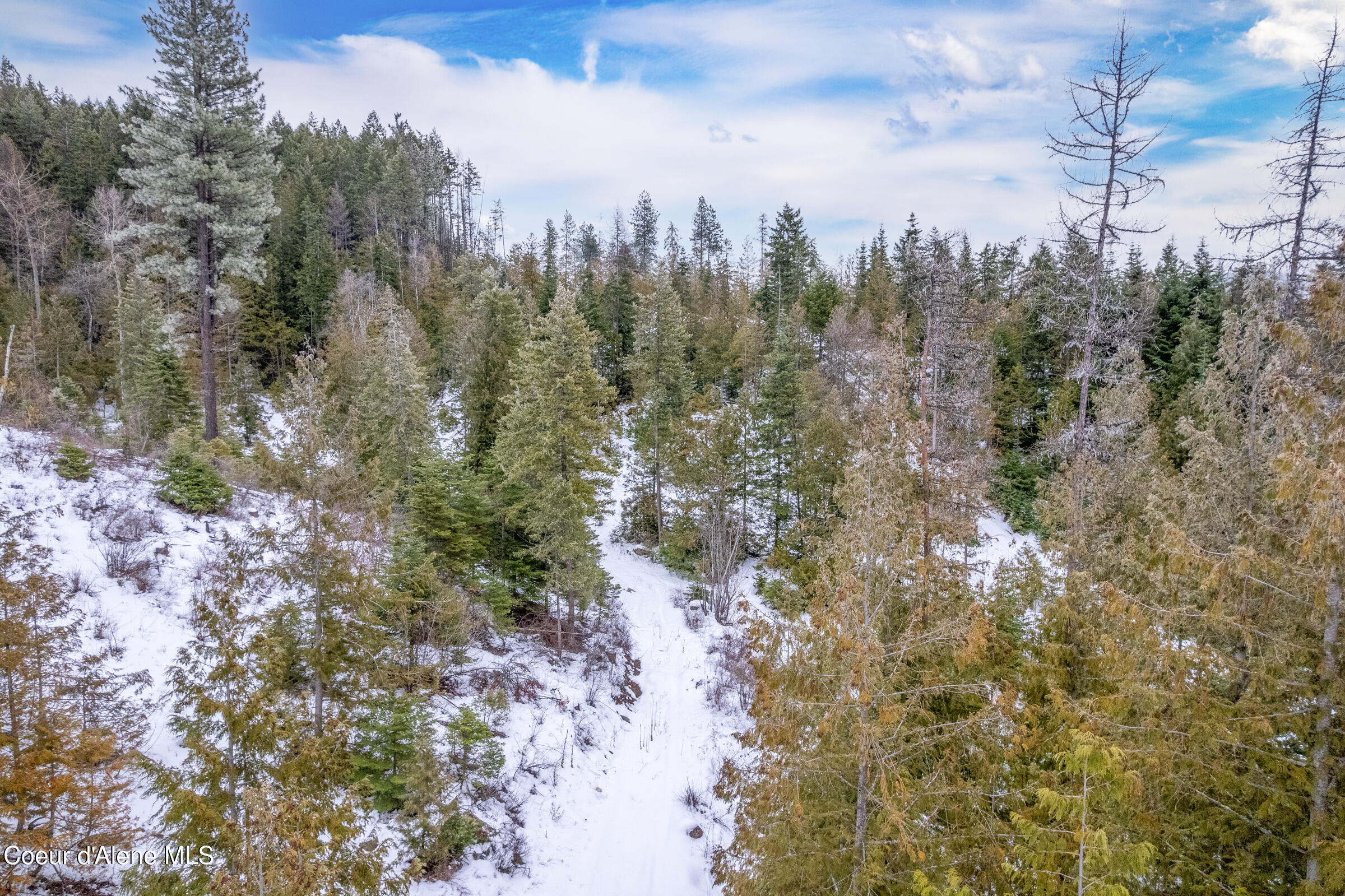 Nna North Whittum Road Priest River, ID 83856 - Photo 9 of 21 008-nkanextto1807NorthWhittumRoad-Priest