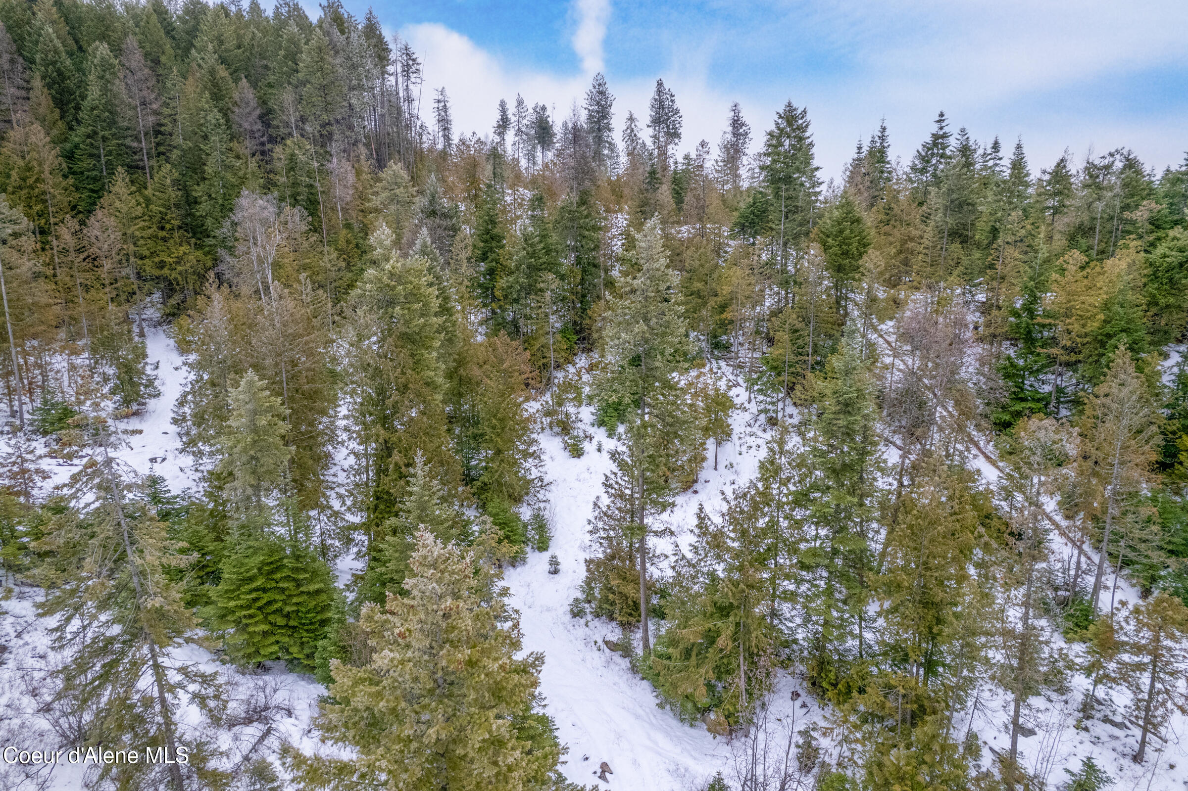 Nna North Whittum Road Priest River, ID 83856 - Photo 10 of 21 009-nkanextto1807NorthWhittumRoad-Priest