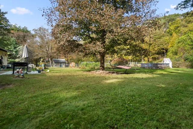 a view of a park with large trees