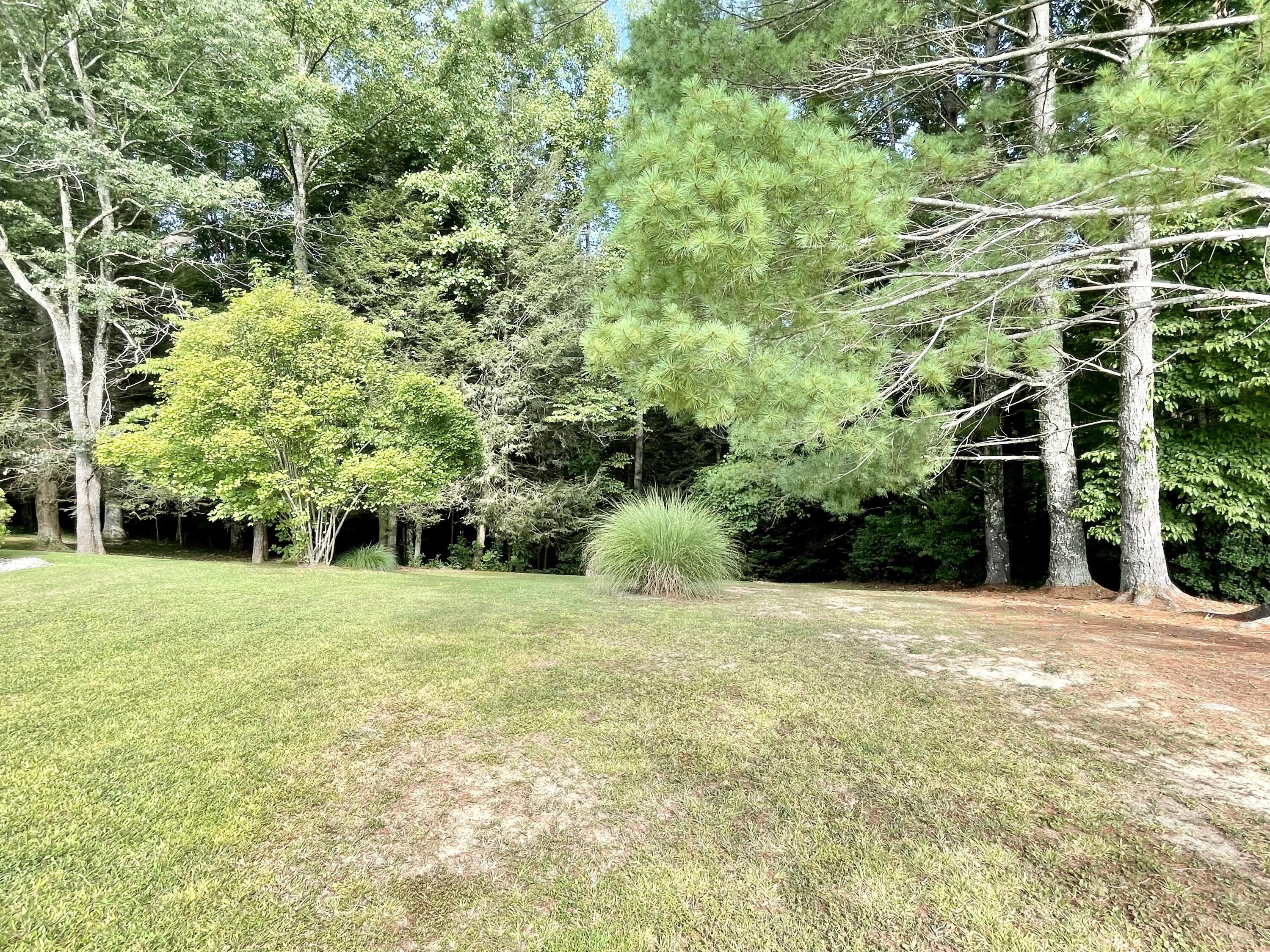 656 Murphy Ridge Road Stearns, KY 42647 - Photo 8 of 30 C2023C21-4BDC-47AA-97AA-CD8C83261716