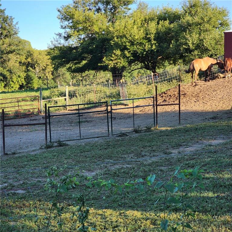 9340 Barkertown Road Odessa, MO 64076 - Photo 17 of 22