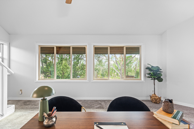 460 Omni Point Road Central Valley, UT 84754 - Photo 48 of 101 Bright room featuring two large windows, light grey carpet, and a white ceiling