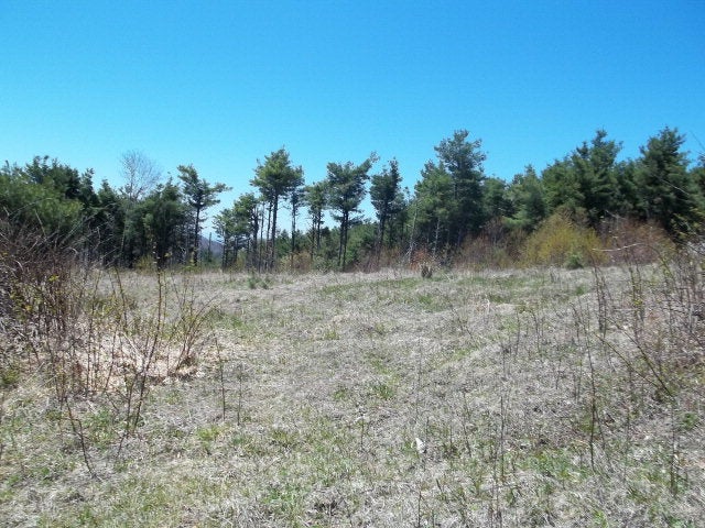 Off Lost Lake Road, Unit 3 Troutdale, VA 24378 - Photo 3 of 7 Gallery Image 3